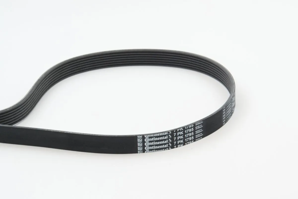V-ribbed Belt
